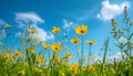 Bright blue sky, yellow daisies, nature tranquil meadow generated