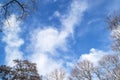 Bright blue spring sky with white clouds in the frame of tops of trees without leaves. Spring is coming. Royalty Free Stock Photo