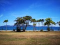 Bright blue sunny sky above with beautiful ocean view. Royalty Free Stock Photo