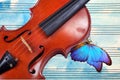 Bright blue tropical morpho butterfly on the violin against the background of a sheet of music paper. Royalty Free Stock Photo