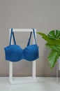 A bright blue turquoise bra for a women\'s swimsuit hangs on a stand next to a green indoor flower. Beachwear