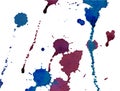 Bright blue and vinous red watercolor splashes and blots on white background.