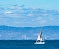 Sailboat on a sunny day with blue water and blue sky