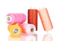 Bright bobbin thread isolated Royalty Free Stock Photo