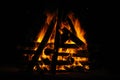 Bright bonfire against the dark night. Royalty Free Stock Photo