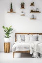 Bright, botanic bedroom interior with wooden furniture, cozy she