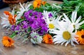 A bright bouquet of field fresh flowers Royalty Free Stock Photo