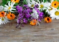 A bright bouquet of field fresh flowers Royalty Free Stock Photo