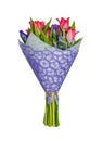 Bright bouquet of tulips and irises Royalty Free Stock Photo