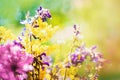 A bright bouquet of wildflA bright bouquet of wildflowers on a sunny warm summer day. owers on a sunny warm summer day.