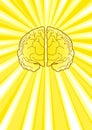 Bright Brain Royalty Free Stock Photo