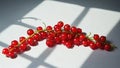 A bright branch of red currant on a white background with soft light and shadows creates a fresh and appetizing still Royalty Free Stock Photo
