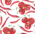 Bright branch tomatoes with chili peppers pattern watercolor sketch hand Royalty Free Stock Photo