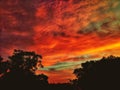 A bright and brilliant sky during sunrise