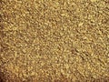 Bright brown background. Intresting texture. Royalty Free Stock Photo