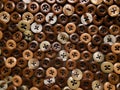 Bright Brown Buttons Royalty Free Stock Photo