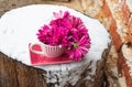 Bright buds chrysanthemums in a cup on a saucer stand on a stump in the snow