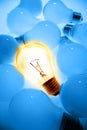 Bright bulb Royalty Free Stock Photo