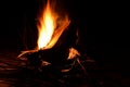 Bright burning birch log fire in snowy winter nature