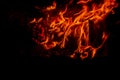 bright burning flames of a bonfire in a dark night, background, space for text Royalty Free Stock Photo