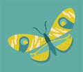 Bright butterflies icon