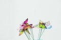 Bright butterflies. Royalty Free Stock Photo