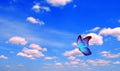 Bright butterfly flying in the blue sky with clouds. flying blue butterfly. morpho butterfly. copy spaces