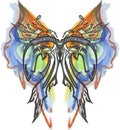 Colorful blurred butterfly wings with fish elements on white for prints on T-shirts or fabrics Royalty Free Stock Photo