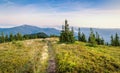 Bright Carpathian landscape in the morning light with beautiful green grass and blue sky. Royalty Free Stock Photo