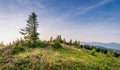 Bright Carpathian landscape in the morning light with beautiful green grass and blue sky. Royalty Free Stock Photo