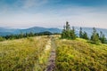 Bright Carpathian landscape in the morning light with beautiful green grass and blue sky. Royalty Free Stock Photo