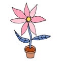 Bright cartoon doodle flower in pot isolated on white background. Royalty Free Stock Photo