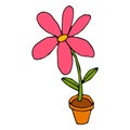 Bright cartoon doodle flower in pot isolated on white Royalty Free Stock Photo