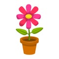 Bright cartoon flower in the pot in flat style isolated on white background. Royalty Free Stock Photo