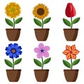 Bright cartoon simple flowers in pots. Royalty Free Stock Photo