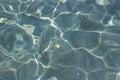 Bright caustics on water surface in blue sea