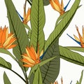 Bright cheerful tropical seamless pattern. Exotic orange strelitzia bird of paradise flowers long tall green leaves.