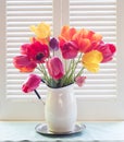 Bright and Cheerful Tulip Bouquet in a White Tin Vase bathed in Airy Natural Window Back Light with Painted Wooden Shutters and ro Royalty Free Stock Photo