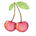 Bright cherry berries, cherries. Hand-drawn illustration with a cherry, cartoon style