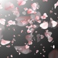 Bright cherry petals fall down. EPS 10