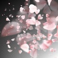 Bright cherry petals fall down. EPS 10