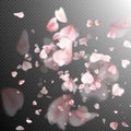 Bright cherry petals fall down. EPS 10