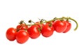 Bright cherry tomatoes