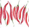 Bright chili hot red peppers pattern watercolor hand sketch