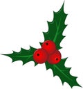 Bright Christmas illustration. Holly with berries and leaves. Vector