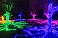 Bright Christmas lights covering trees and their roots on a dark rainy night in a park in Vancouver, British Columbia, Canada. Royalty Free Stock Photo