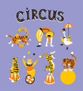 Bright circus design elements - acrobats, trained animals and text - `circus`. Vector illustration. Royalty Free Stock Photo