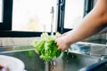 Bright clean vegetables being washed Royalty Free Stock Photo