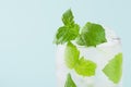 Bright cold transparent mint cocktail with green leaf, sparkling water, ice cubes in misted glass in modern mint color interior. Royalty Free Stock Photo