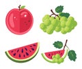 Bright collection of summer fruits. Apple, grapes, watermelon slices in cartoon style. Fresh juicy fruits vector Royalty Free Stock Photo